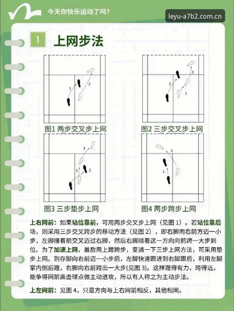 乐鱼体育教程常见问题 乐鱼体育教程常见问题最新动态:资深用户手把手教你解决五大高频难题